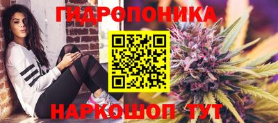 крисы Обь
