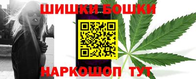 крисы Обь