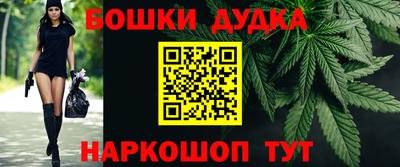 крисы Обь