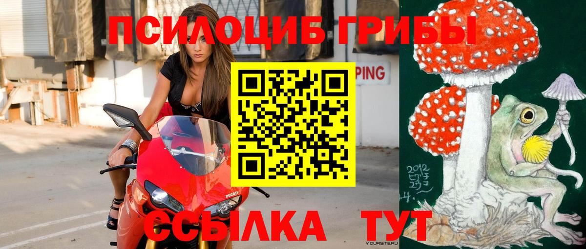 Советская Гавань  Галлюциногенные грибы мухоморы  Вход с VPN 
